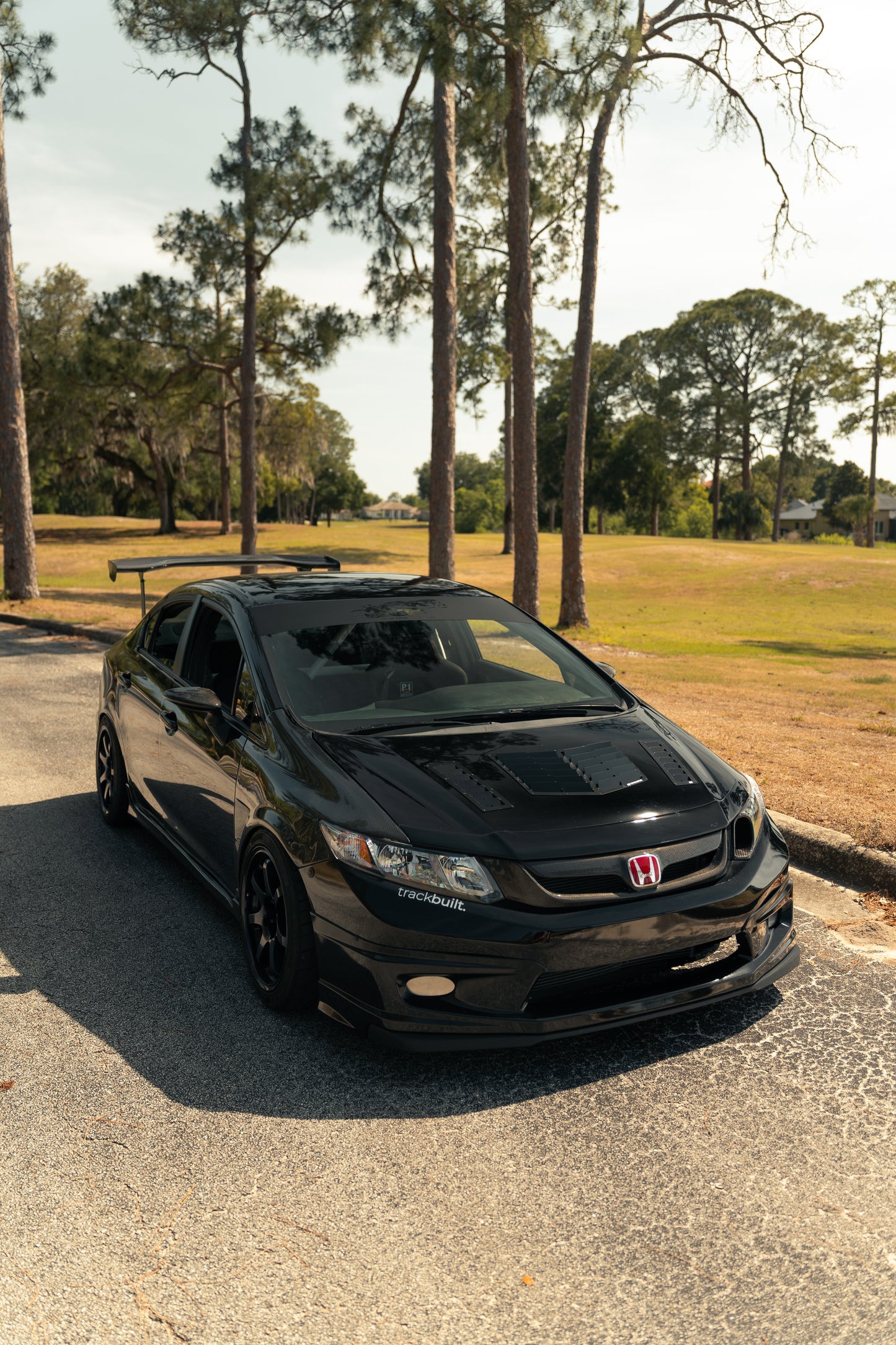 Oh Joy Sunstrip banner